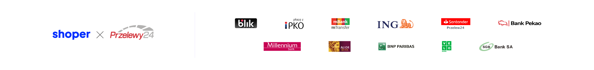 platnosci on-line